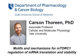 Carson Thoreen, PhD 103024 flyer